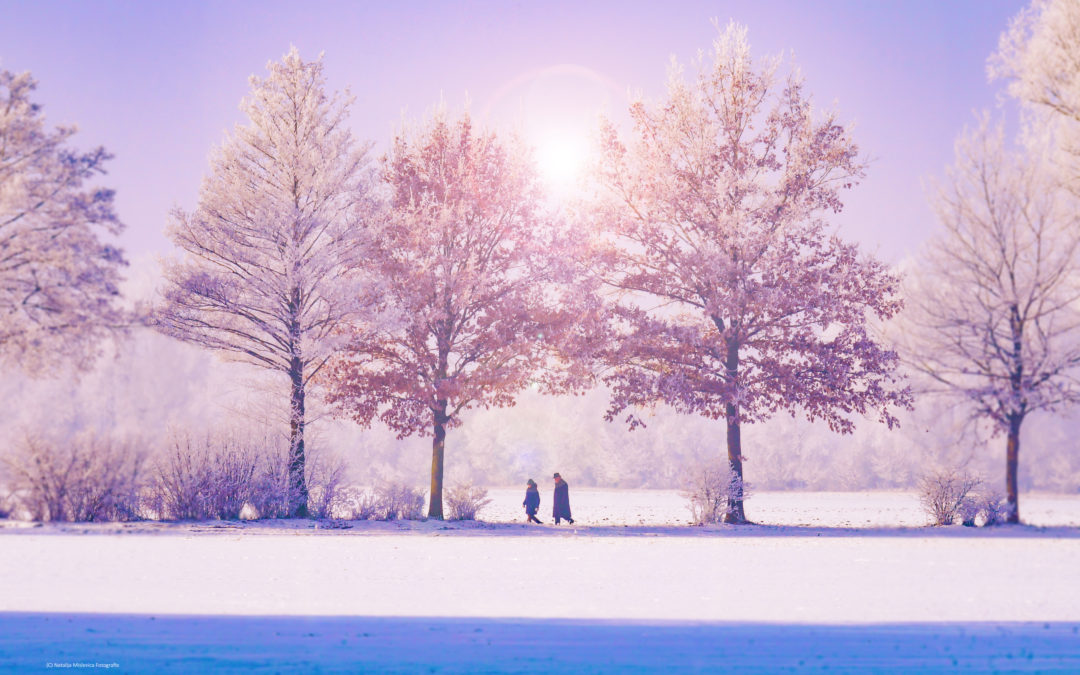 Using Natural Cycles to Recharge Your Life