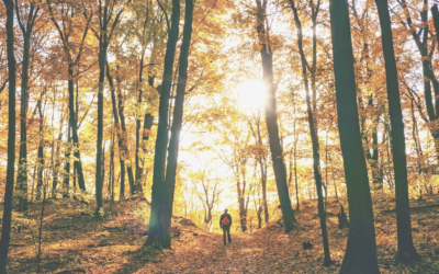 Self Care For Fall: 5 Practices To Align With Autumn