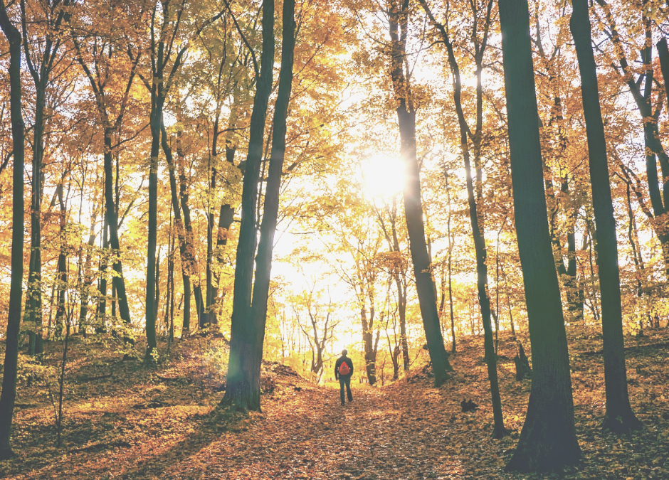 Self Care For Fall: 5 Practices To Align With Autumn