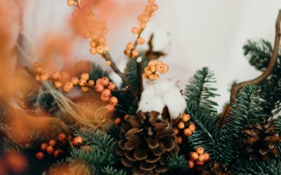 How To Be More Sustainable This Holiday Season