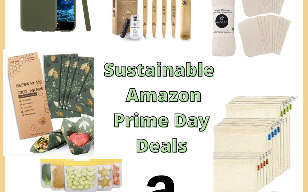 organic & sustainable amazon