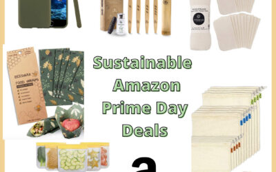 Sustainable and Organic Deals for Amazon Prime Day